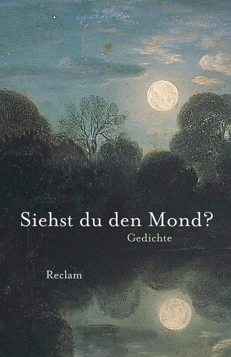 Actual product image Siehst du den Mond? (German, Dietrich Bode, 2014)