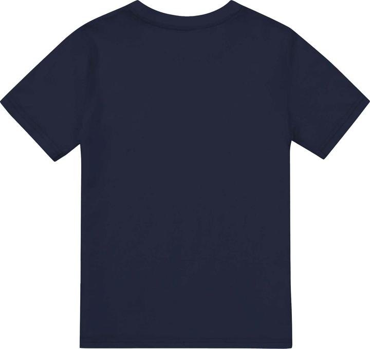 Actual product image Captain America Unisex Adult Shield Embroidered T-Shirt (L)