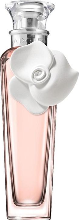 Adolfo Dominguez Aqua Fresca De Rosasancas (Eau de Parfum, 120 ml)