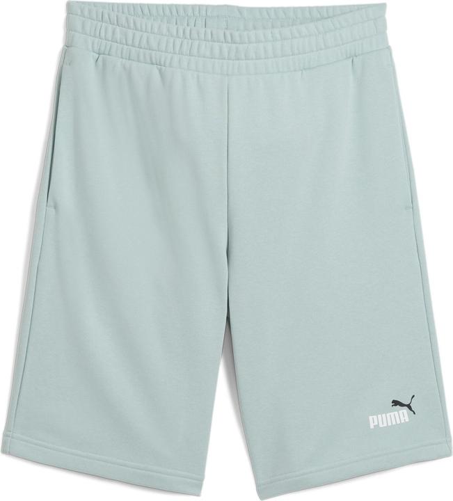 Actual product image Puma ESS 2 COLOR No. 1 Logo Shorts 10" TR (XL)