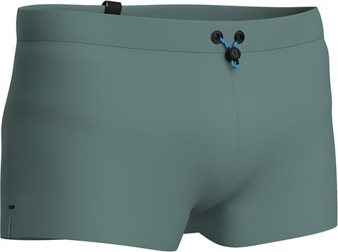 Actual product image Arena M Evo Swim Short (4)