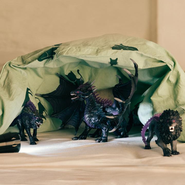 Image du produit Schleich Dragon de l'ombre