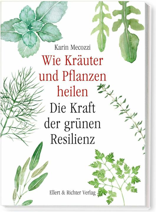 Produktbild Wie Kräuter und Pflanzen heilen (Deutsch, Karin Mecozzi, 2024)