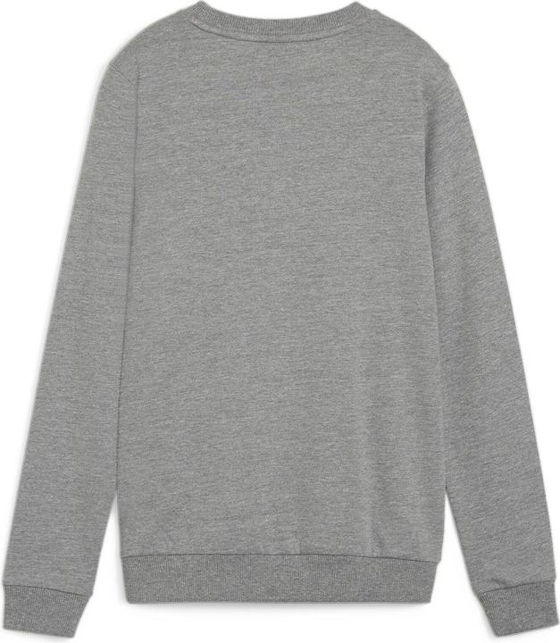 Immagine prodotto Puma teamGOAL Casuals Felpa girocollo Wmn (S)