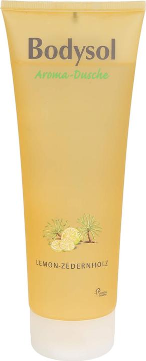 Omega Pharma Bodysol Aroma-Dusche Duschgel Lemon-Zedernholz, 250 ml Gel (250 ml)
