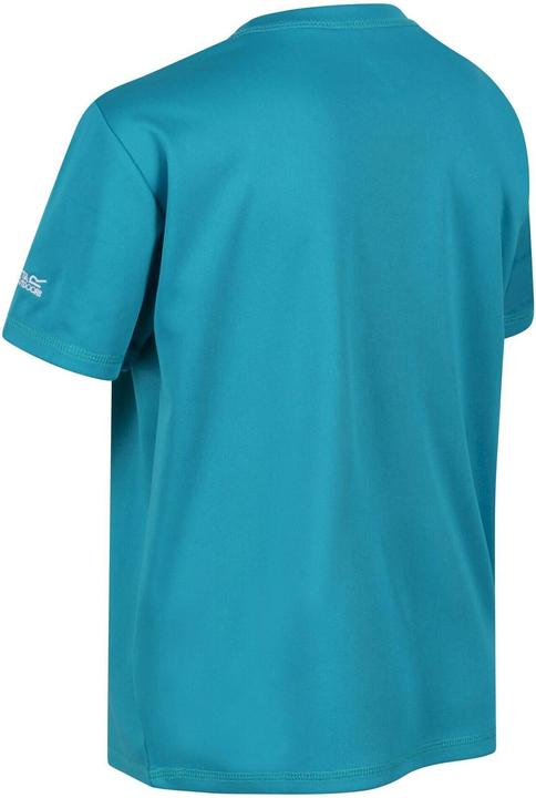 Actual product image Regatta Alvarado Vi Tshirt (140)