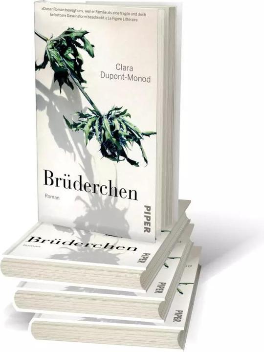 Produktbild Brüderchen (Deutsch, Clara Dupont-Monod, 2023)