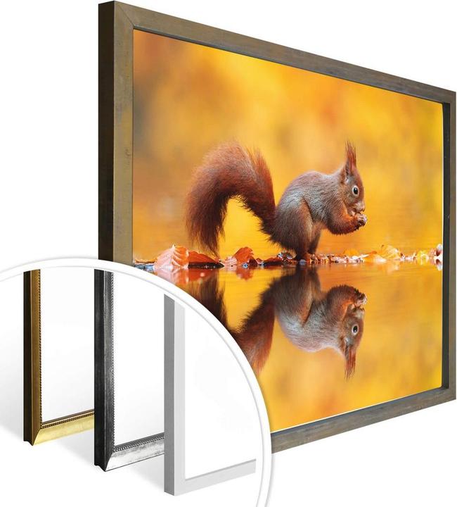 Image du produit Trenddeko van Duijn - Écureuil avec noix (60 x 50 cm)