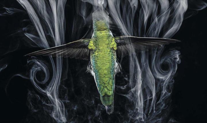 Produktbild National Geographic Verborgene Welten – Einzigartige Fotografien (Deutsch, Susen Truffel-Reiff, Anand Varma, 2023)