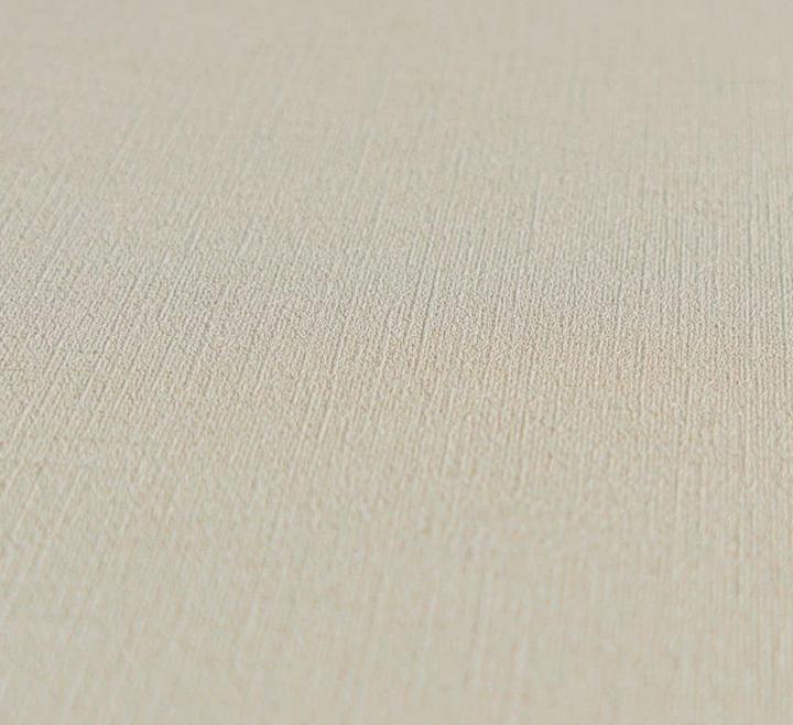 Produktbild A.S. Création Ethnic Origin Uni (53 x 1005 cm)