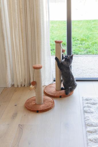 Actual product image Designed by Lotte Scratching post (70 cm, Terracotta, Brown)