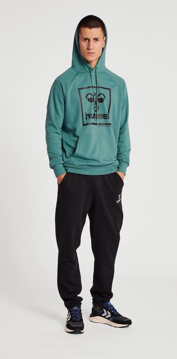 Image du produit hummel ISAM 2.0 HOODIE (M)