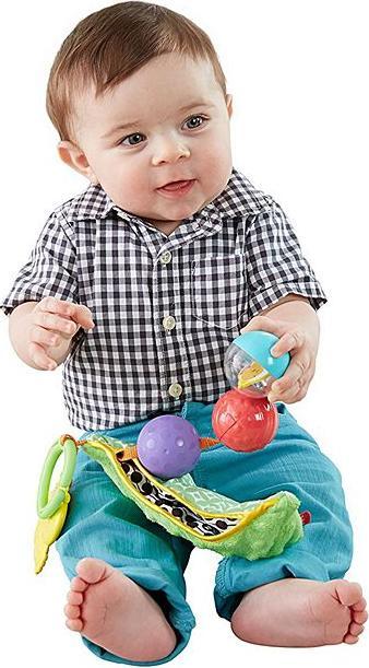 Produktbild Fisher-Price Entdeckspass-Kugeln