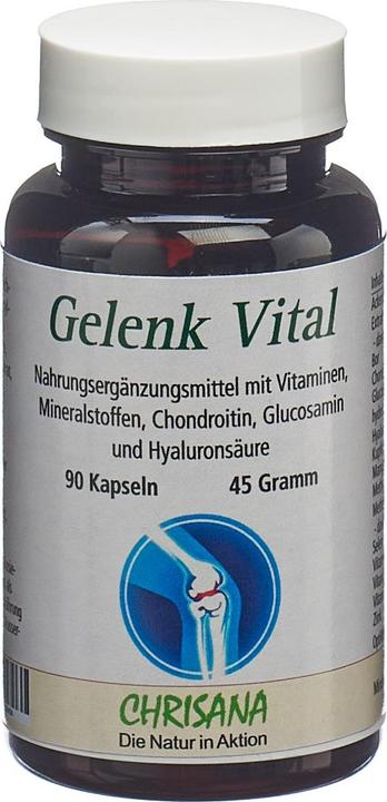 Chrisana Gelenk Vital Kapsel (90 Stück, Kapseln, 69 g)