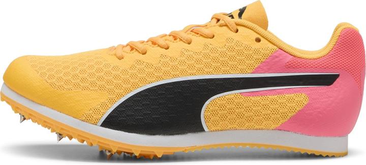 Image du produit Puma evoSpeed Star (34)