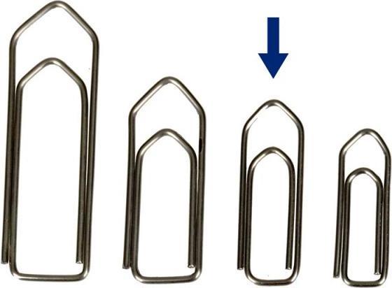 Image du produit Omega Paperclips (100 x)