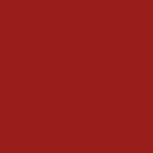 Actual product image Naj Oleari Forever Matte Lipstick 05 Intense Red 4g (05 Intense Red)