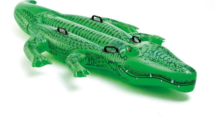 Intex Giant Gator