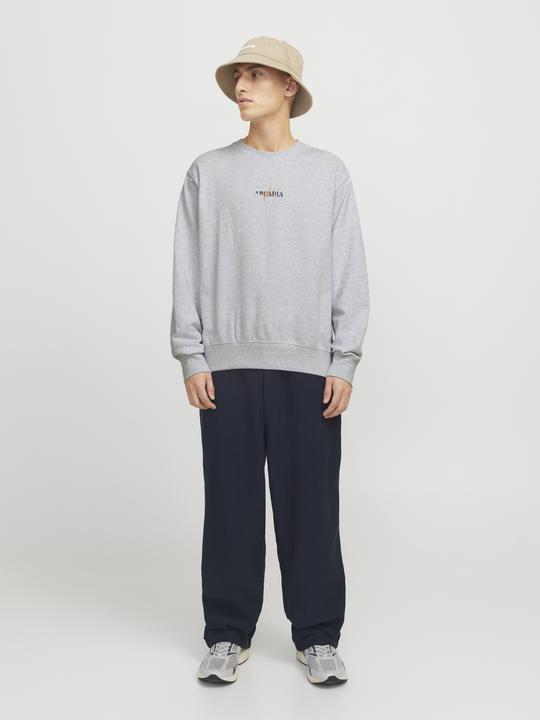 Actual product image Jack & Jones Jjecharge Graphic Sweat O-N Styd Aw24 Ln (XL)