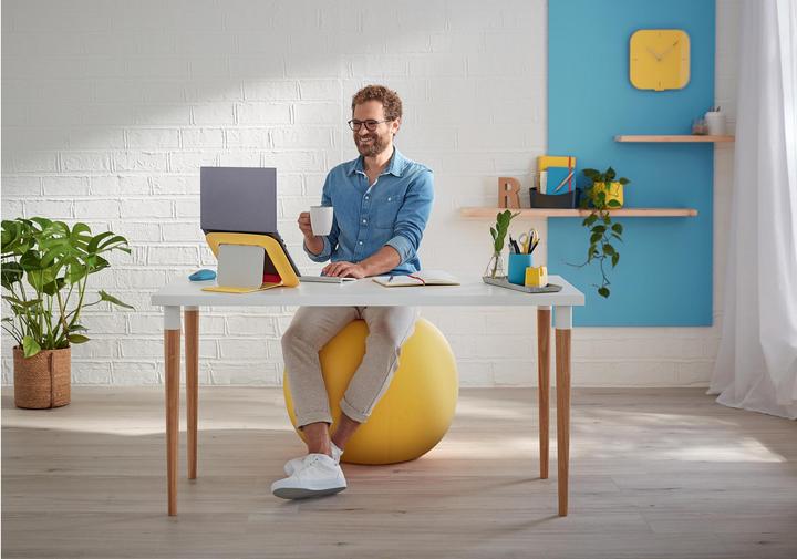 Produktbild Leitz Ergo Cosy Active Sitzball (65 cm)