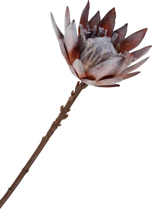 Immagine prodotto House Nordic Re (75 cm)