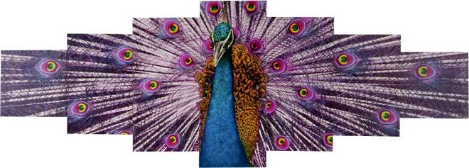 Produktbild Swisshandel24 Leinwandbild, Wandbild Keilrahmenbild Kunstdruck, 7-teilig 140x50cm - Pfau (140 x 50 cm)