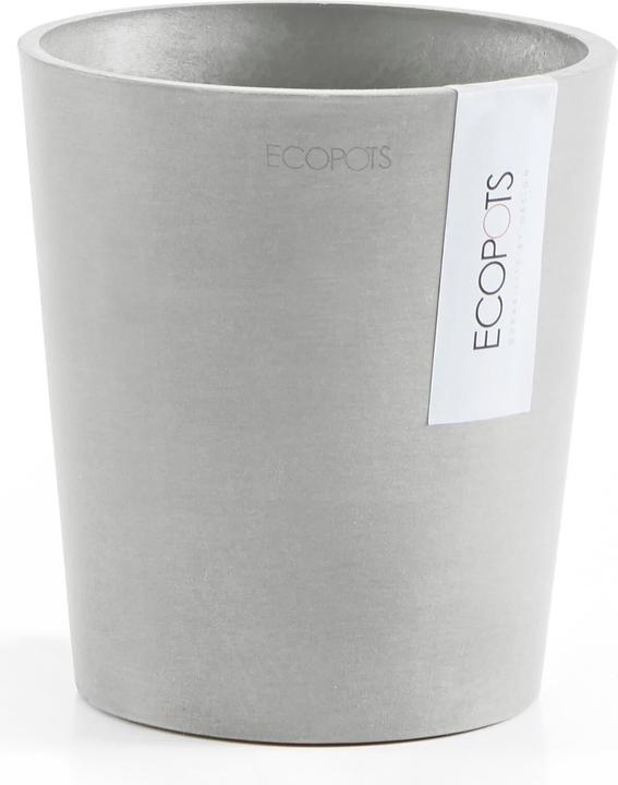 Ecopots Morinda (14 cm)