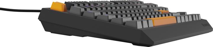 Actual product image Genesis Thor 230 TKL Anchor Gray Positive RGB Outemu Red (US, Cable)