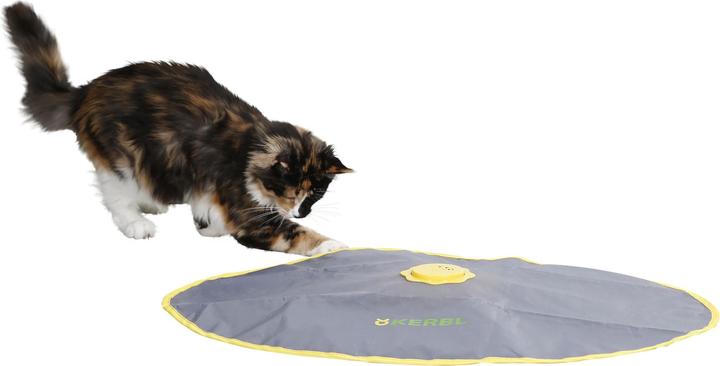 Actual product image Kerbl Catch the Tail (Intelligence toy cat)