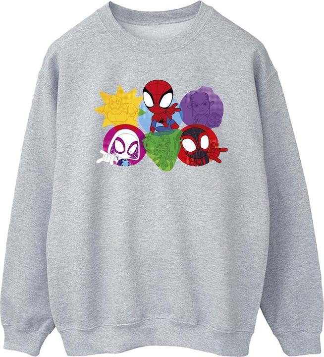 Spidey And His Amazing Friends Faces Sweatshirt (3XL)
