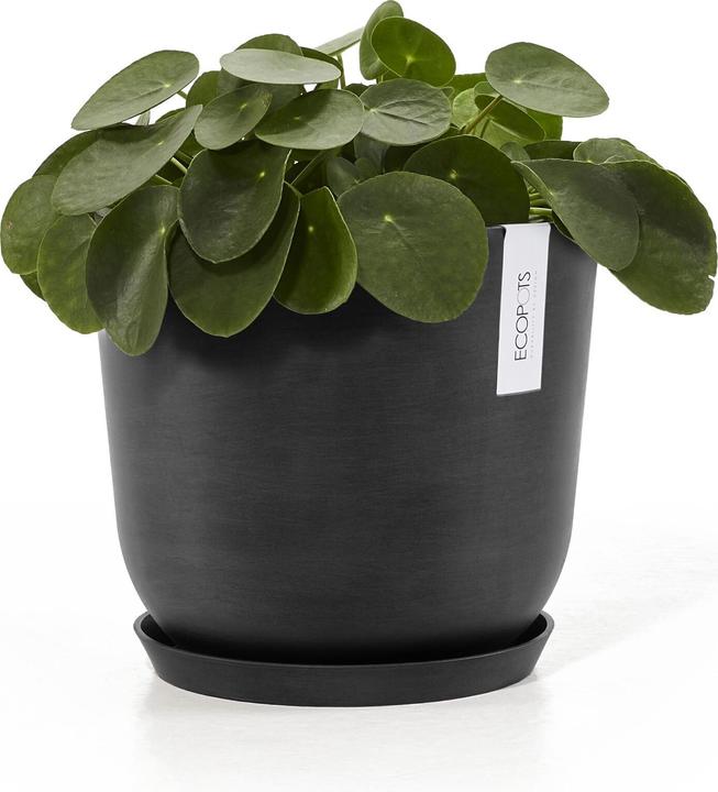 Immagine prodotto Ecopots Saucer Round