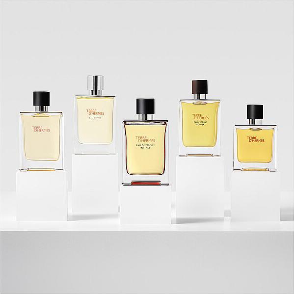 Immagine prodotto Hermès Terre d'Hermes (Eau de parfum, 100 ml)