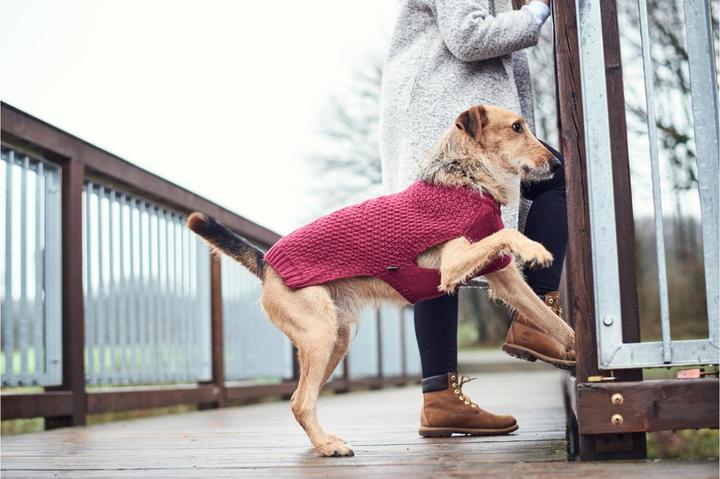Actual product image Hunter Dog sweater Malmö (25, Dog jumper)