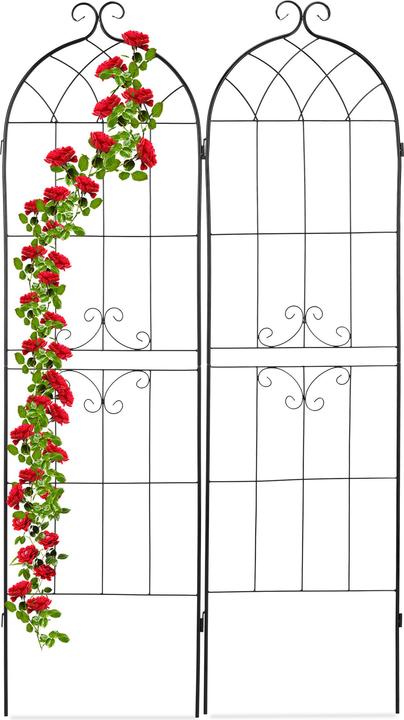 Image du produit Relaxdays 2x tuteurs-à-tomates (1.50 cm, 51.50 cm)