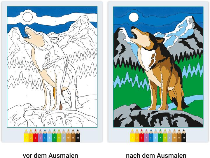 Actual product image Ravensburger Album de colouriage painting by numbers
