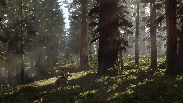Image du produit 2K Games Red Dead Redemption 2 (Xbox One X, Xbox Series X, FR)