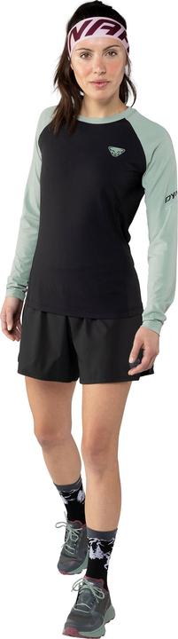 Produktbild Dynafit Alpine Pro Langarmshirt (38, M)