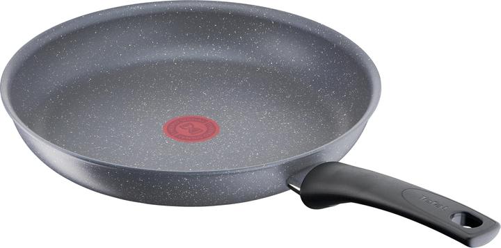 Productafbeelding Tefal TEF Pan 20cm (20 cm, Kookpotten en pannenset, Aluminium)