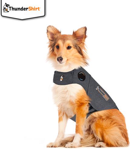 Vêtements pour chien