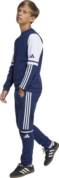 Actual product image adidas Squadra 25 SW PNT Y (164)