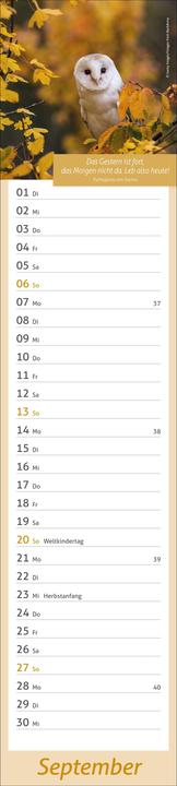 Image du produit times&moreTagevollerGlückLangplaner2026 (11 x 49 cm, Allemand)