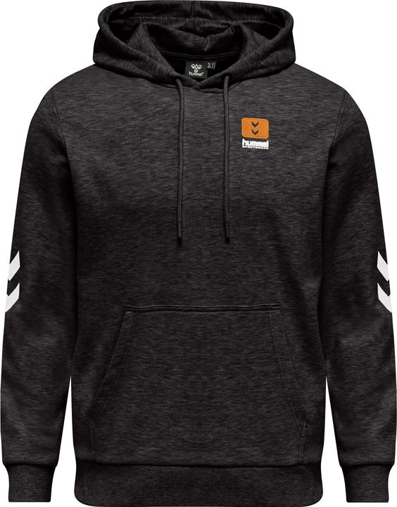 Actual product image hummel Lgc Liam Hoodie (S)