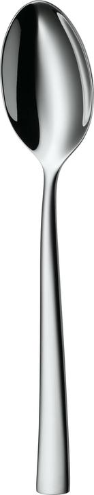 Actual product image WMF Philadelphia (1 Piece, Scoops)