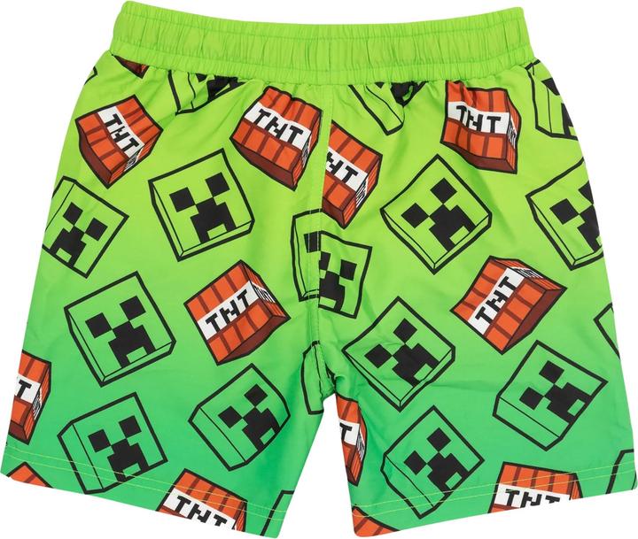 Actual product image Minecraft Creeper (146, 152)