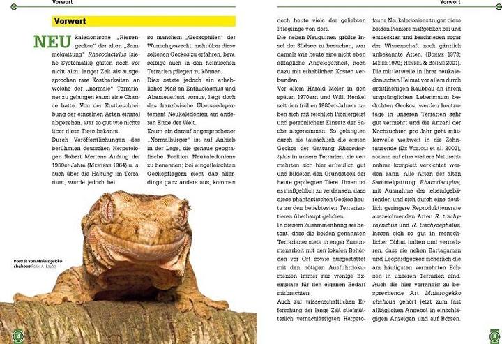 Actual product image Südlicher und Nördlicher Flechtengecko (German, Erwin Schröder, Andreas Laube, Christian Langner, 2018)