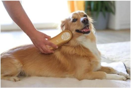 Produktbild Kerbl MagicBrush DOG soft sandstorm (Hund)