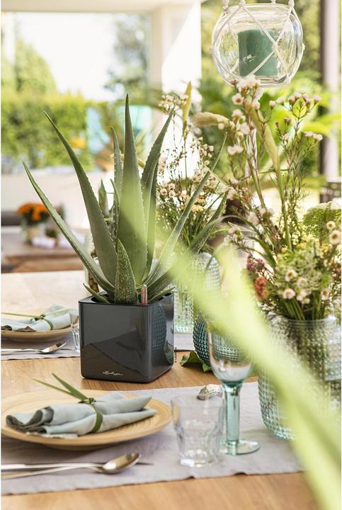 Immagine prodotto Lechuza Cube Glossy 14 (14 cm)