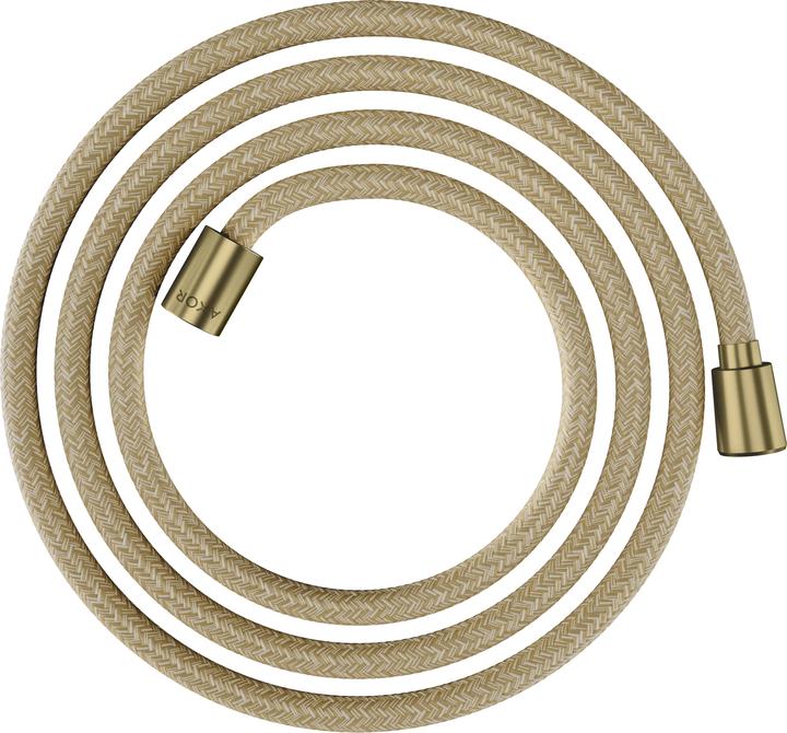 Brushed Brass