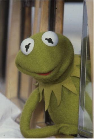 Produktbild Disney Die Muppets Kermit Postkarte 02