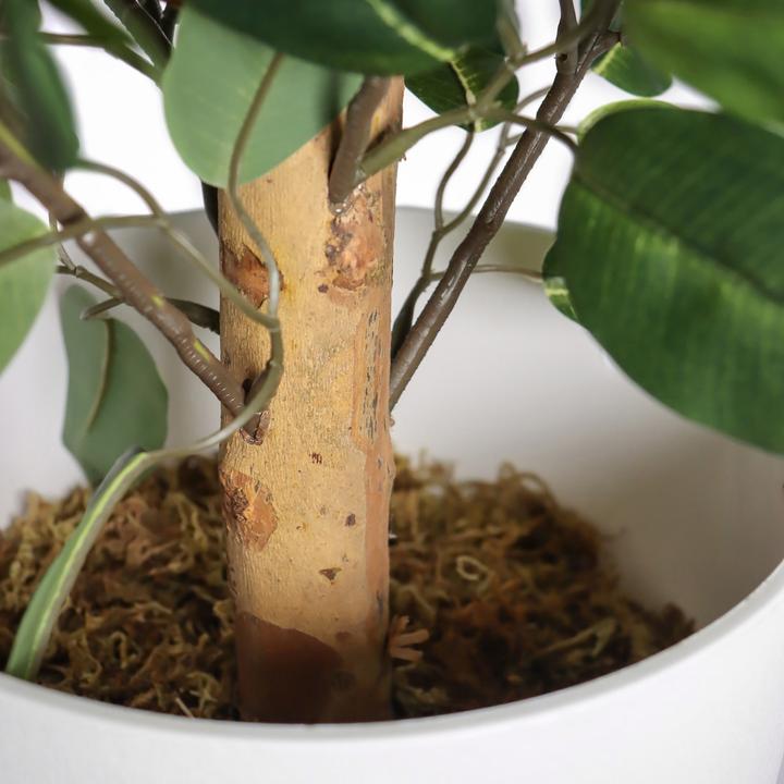 Actual product image Hjh Office Ficus Ii (65 cm)